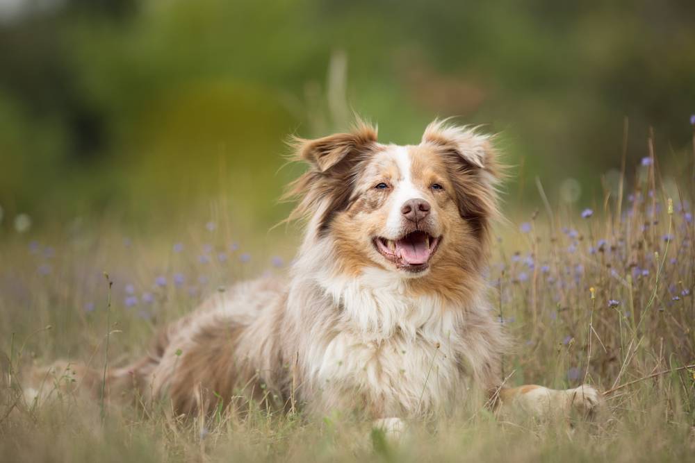 AdobeStock_528283501-min
